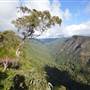 O'Reillys Rainforest Retreat