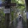 O'Reillys Rainforest Retreat