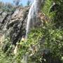 Purling Brook Falls - Springbrook National Park