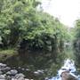 Upper Maroochy River