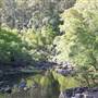 Wappa Falls
