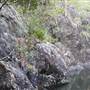 Rocky Creek Falls