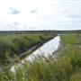 River Road