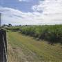 Bundaberg Region - Duffy Street (Sugar Cane)
