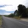 Roadside Cane Train Track