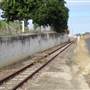 Roadside Cane Train Track