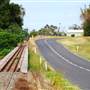 Roadside Cane Train Track