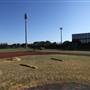 Major League Baseball Infields & Batting Cages