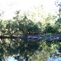 Whitsundays - Cedar Creek Falls