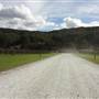 O'Reilly's Canungra Valley Vineyards