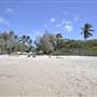 Horseshoe Bay (Bowen)