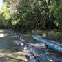 Mangroves meet Ocean - Tallebudgera Creek Conservation Park