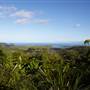 Daintree River
