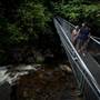Mossman Gorge