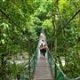 Mossman Gorge