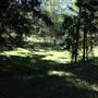 The Backlot, Bonogin - Overview