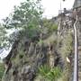 Kangaroo Point - Rock Wall