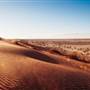 Birdsville Desert Sand Dune