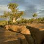 Winton Desert - General