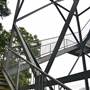 Mamu Tropical Skywalk