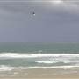 South Stradbroke Island - Beach (South of Surf Club)