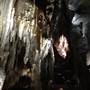 Chillagoe Caves - Donna Cave