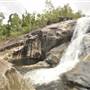 Murray Falls (Girramay National Park)