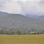 Country Valley Road