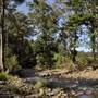 Venus Pools, Stream & Forest