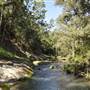 Venus Pools, Stream & Forest