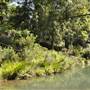 Venus Pools, Stream & Forest