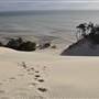 Mulgumpin (Moreton Island) - Big Sand Hills