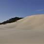Mulgumpin (Moreton Island) - Big Sand Hills