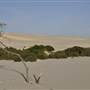 Mulgumpin (Moreton Island) - Little Sand Hills