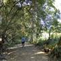 The Backlot, Bonogin - Dry River Bed