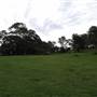 Bushland / Nature Reserve