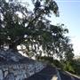 Cunningham's Knoll