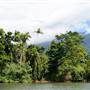 Mulgrave River (Cairns Region)