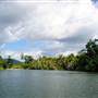 Mulgrave River (Cairns Region)