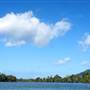 Mulgrave River (Cairns Region)