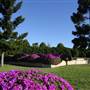 Queens Park