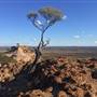 Longreach - Mount Slowcombe