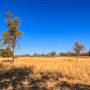 Bladensburg National Park