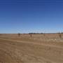 Winton - Kennedy Development Rd