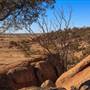 Rangelands Station