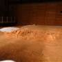 Lark Quarry Dinosaur Trackways