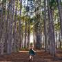 Pine Forest, Riverside Skate Park & Open Sports Fields - Pizzey Park