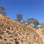 Townsville - Castle Hill Lookout