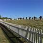 St Helena Island National Park - Prison Cemetery