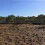 Brisbane Region - Swamps / Mangroves (St Helena Island)